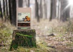 Чага гриб, chaga mushroom.