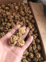Грецкий орех чищеный/wanuess