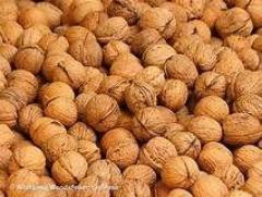 Bio-waldnüsse ernte 2018, 4€ kg