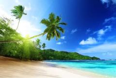 Продам обои,фотошторы, подушки, картины, 3d,5d