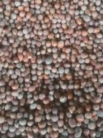 Продам черный сладкий виноград молдова