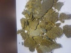 Макух рапсовий