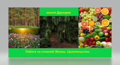 Курс «магия друидов. Работа со стихией жизнь»