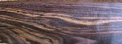bog-oak
