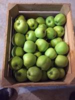Apples Ligol