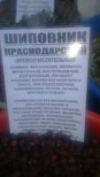 Продам шиповник