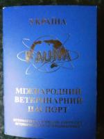 Продам Супер мини йорка