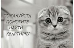 Сниму комнату в берлине