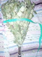 Продаём оптом банные веники.