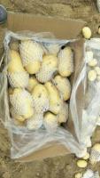 Картофель