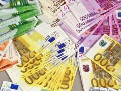 Ищу партнера для реализации с/х продукции на территории европы